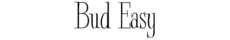 Bud Easy Font